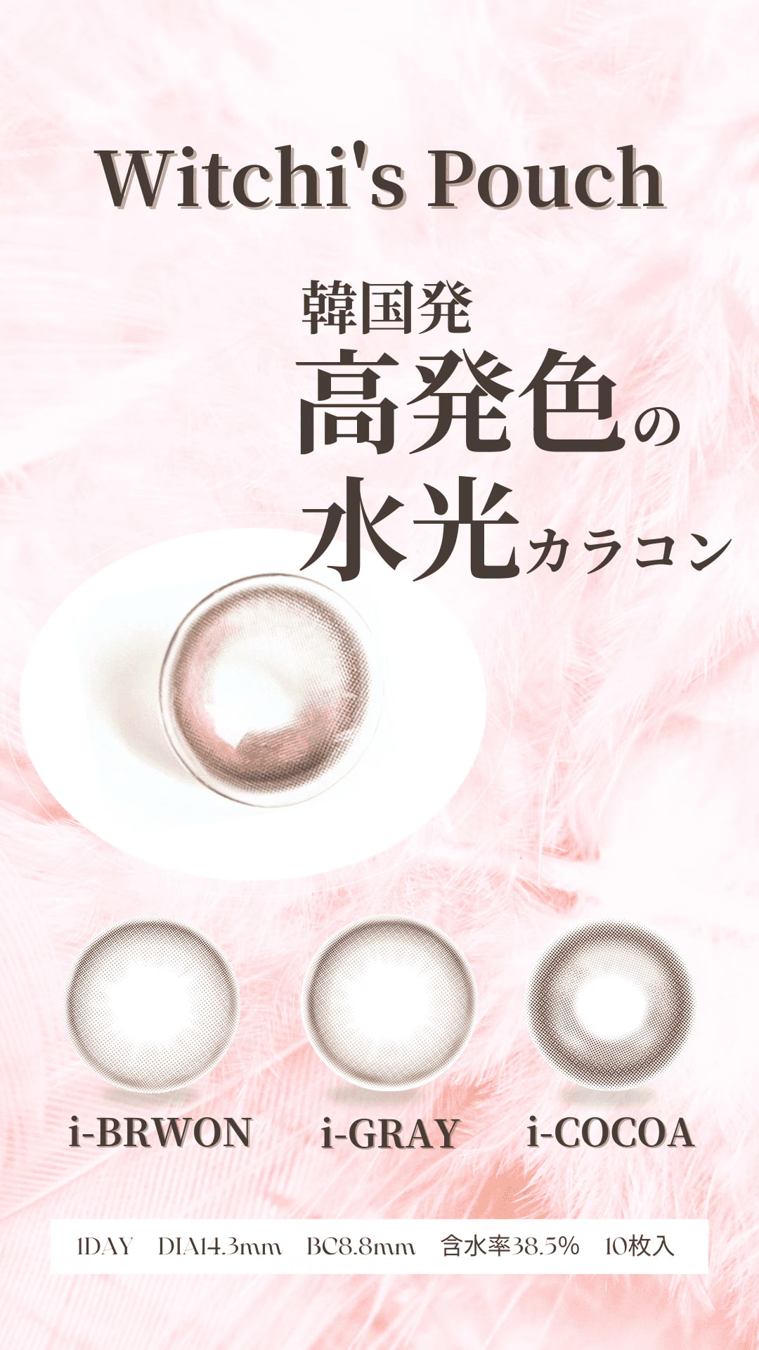 �߸˸¤�ڥ����ȥ�åȡ۴ڹ񥫥饳�� 1day Witch's Pouch �����å����ݡ��� ���顼���󥿥���